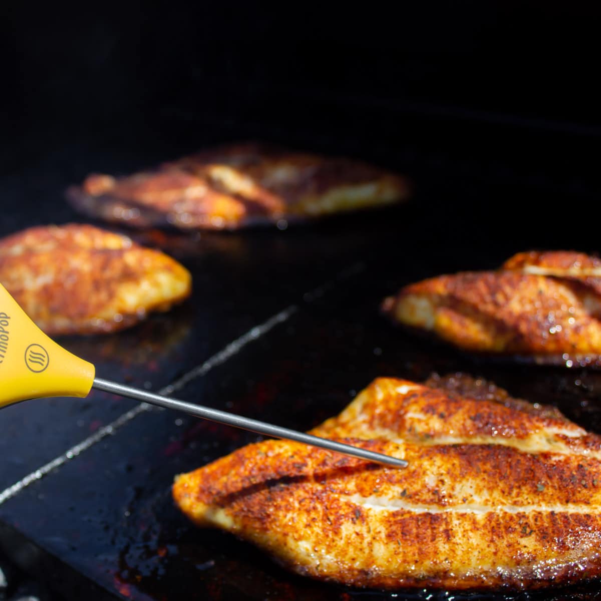 Grilled catfish with a digital thermometer stuck in the fish.