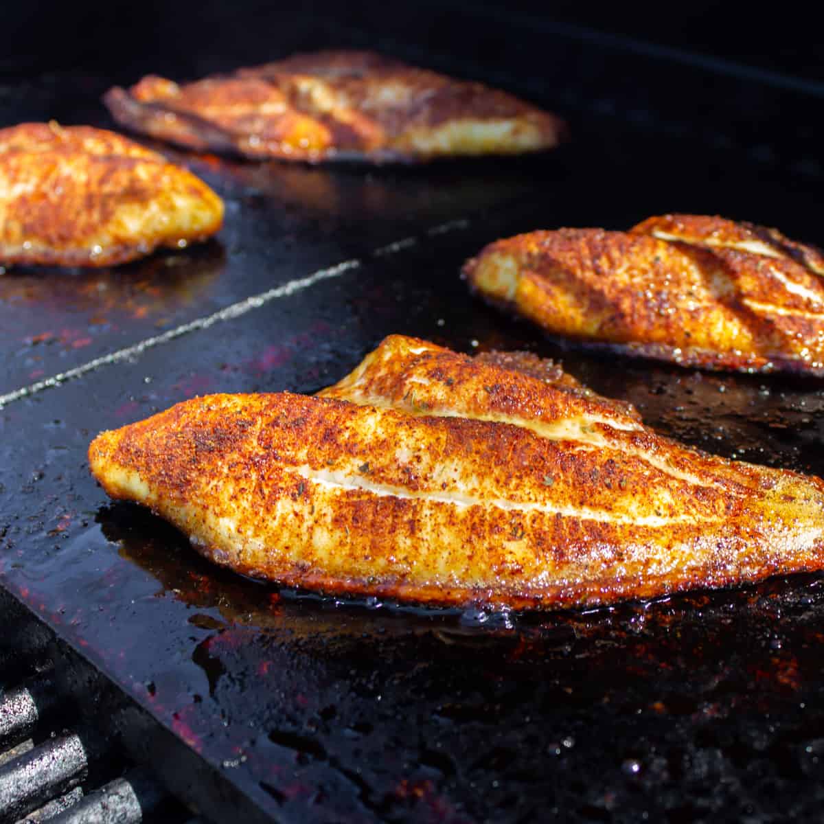 Fish that is finished cooking on the grill.