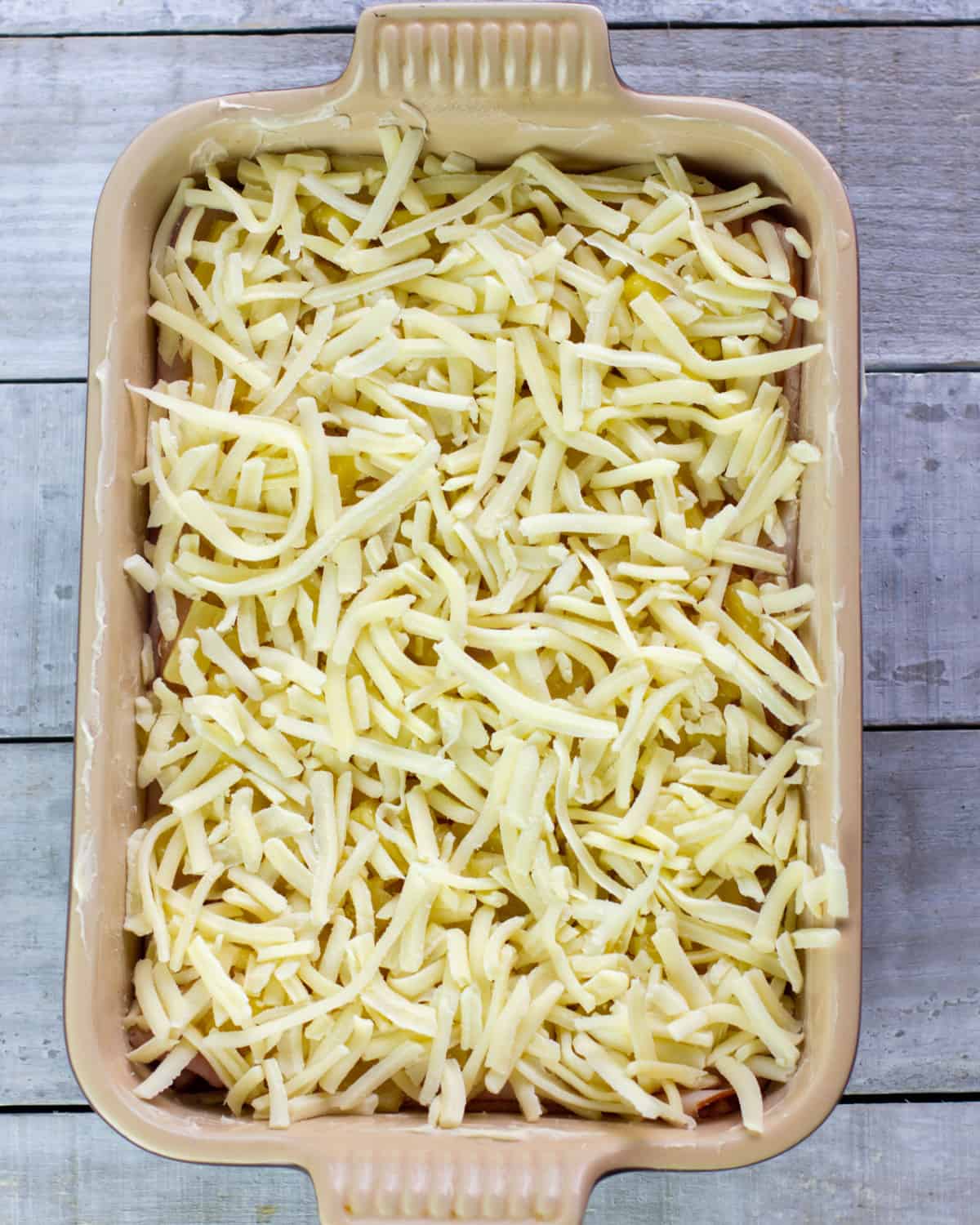 Grated mozzarella cheese spread all over ingredients in a baking dish.