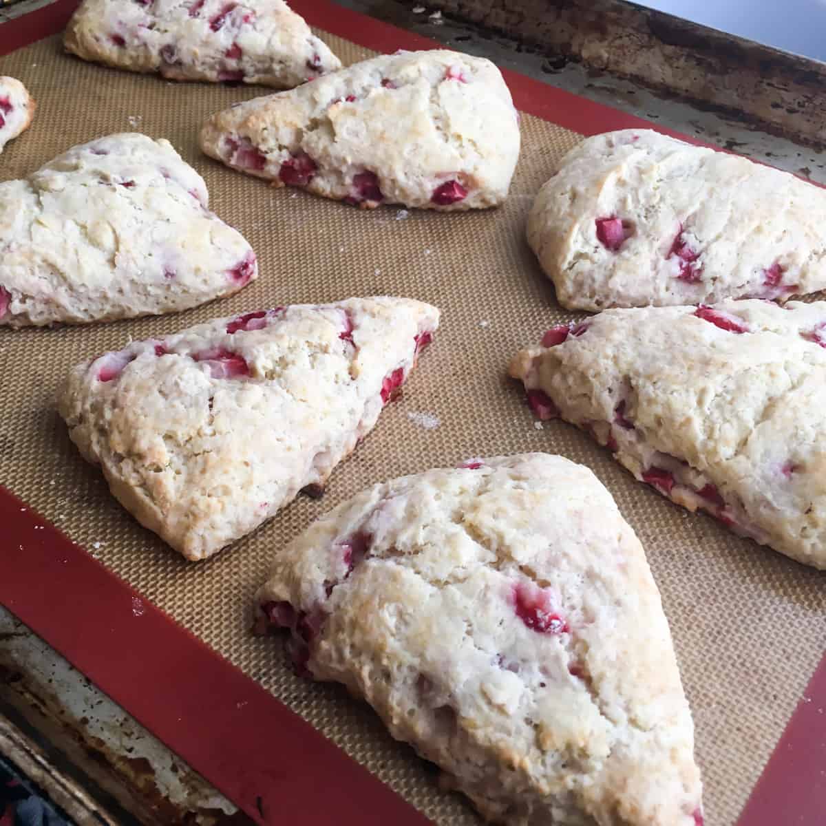 Fresh baked scones out of the oven.
