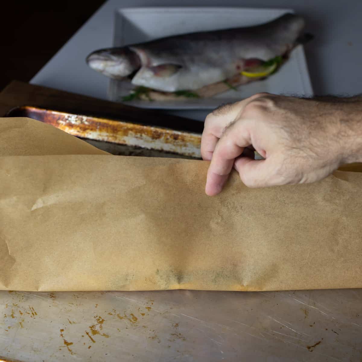 Paper being folded over a fish.