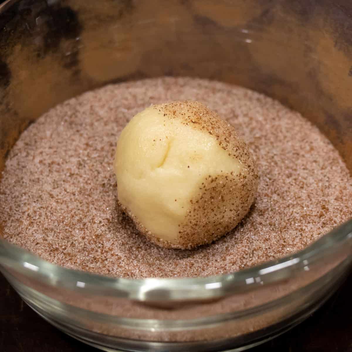 A ball of cookie dough rolled in cinnamon sugar.