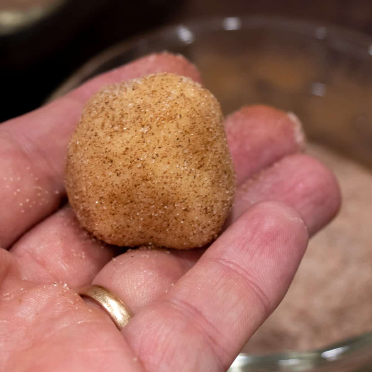 Cookie dough ball rolled in spiced sugar