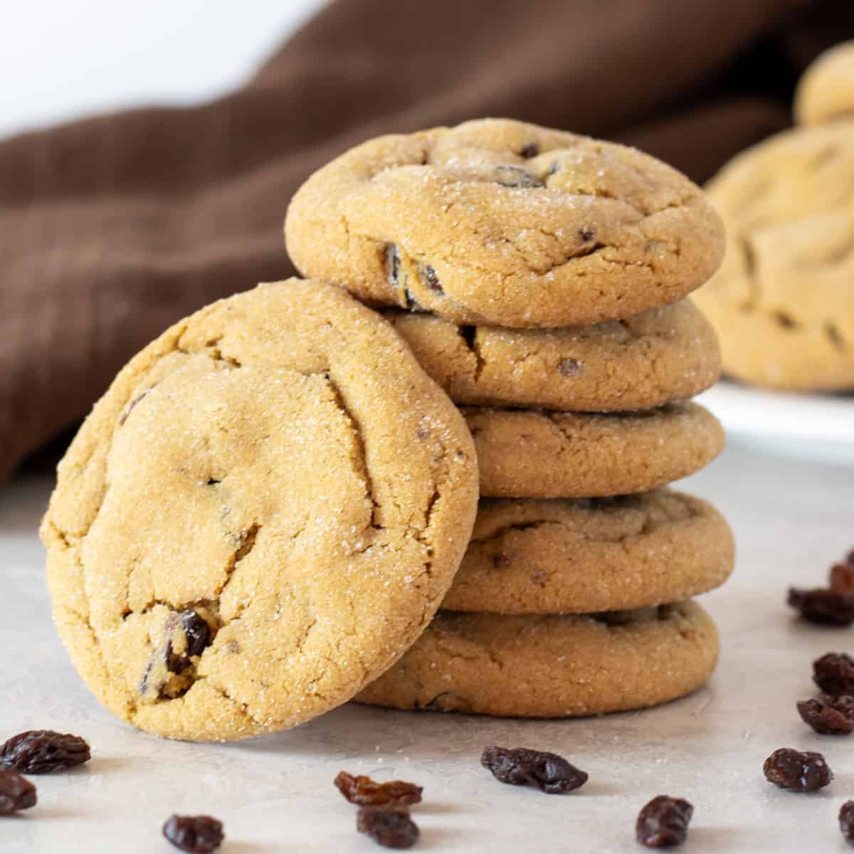 A stack of cookies on the counter.