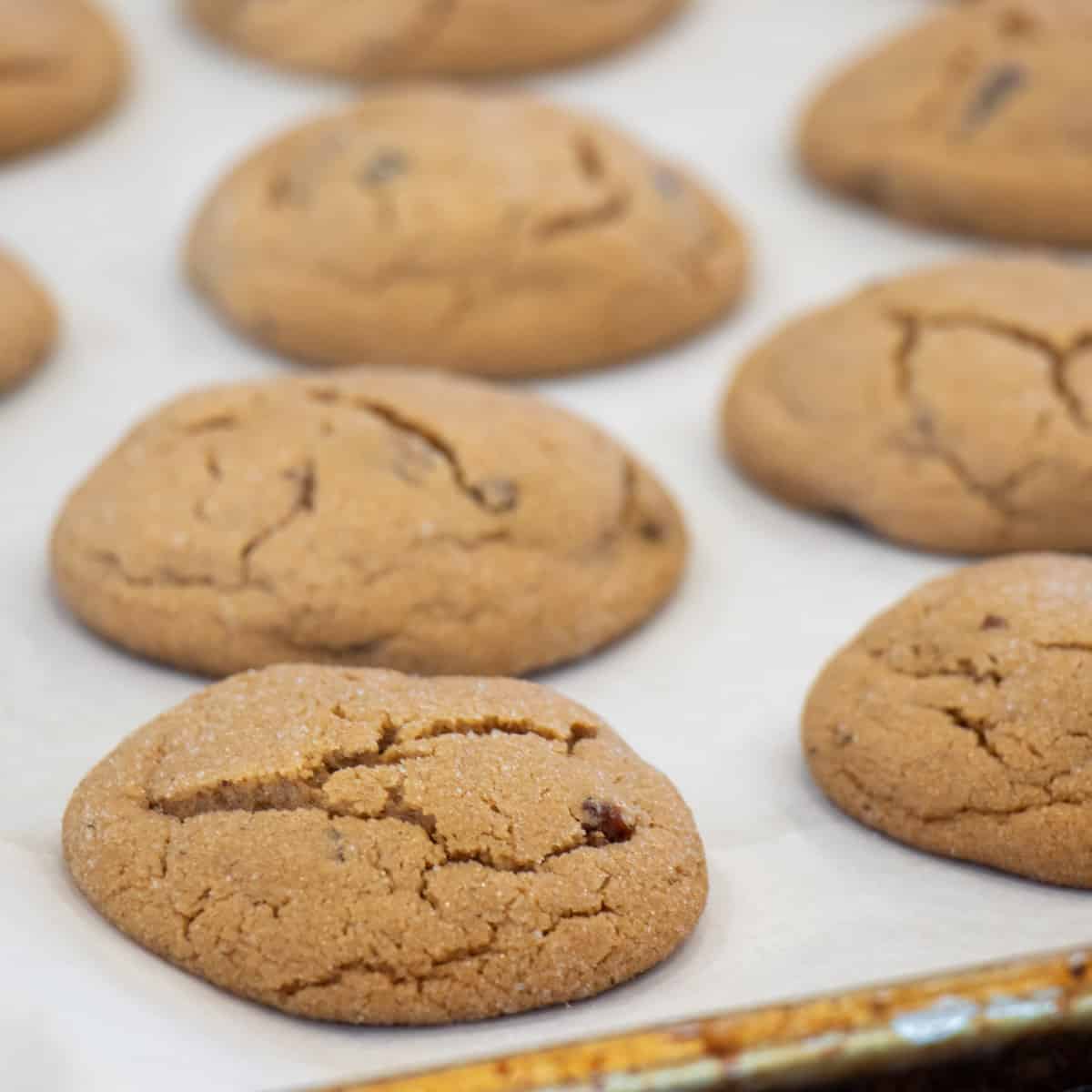 Fresh baked cookies on a baking sheet.