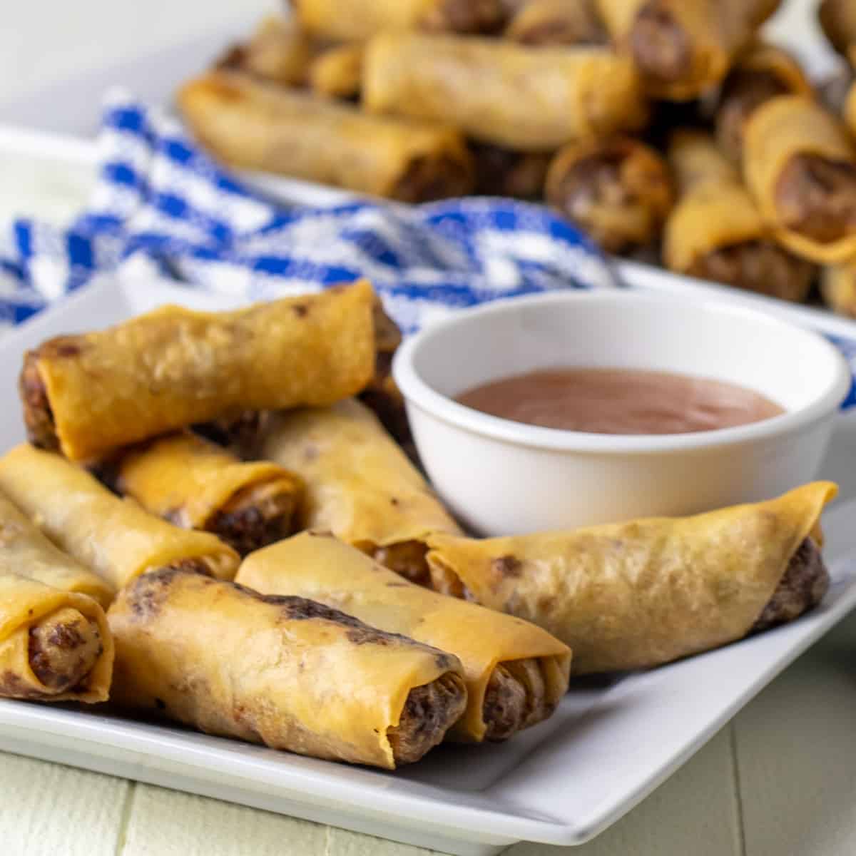 Close up picture of lumpia.